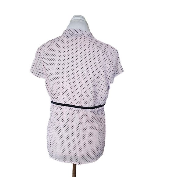 Y2K Large Light Pink Chirron Swiss Dot Blouse Pontuck Pleats Sheer Cap Sleeve - Picture 3 of 9